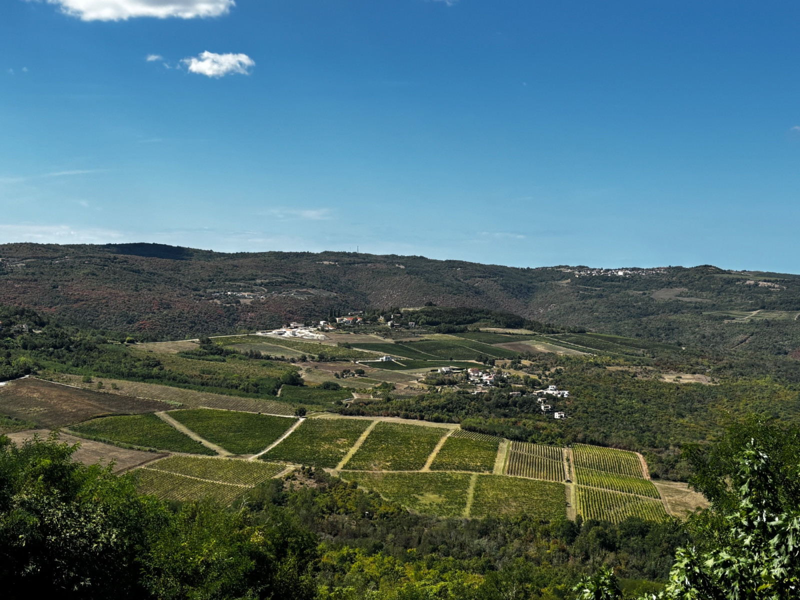 Motovun, Kroatië
