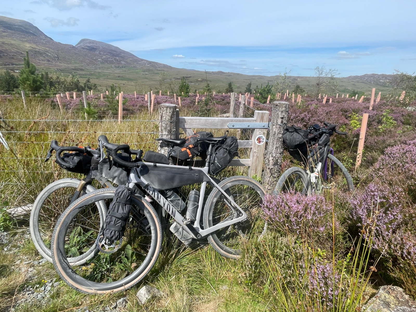 Snowdonia, Eryri National Park Wales