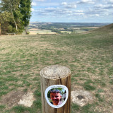Bar-sur-Aube, Frankrijk