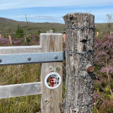 Snowdonia, Eryri National Park Wales