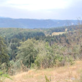 Sentier des Diots du Jura, Frankrijk